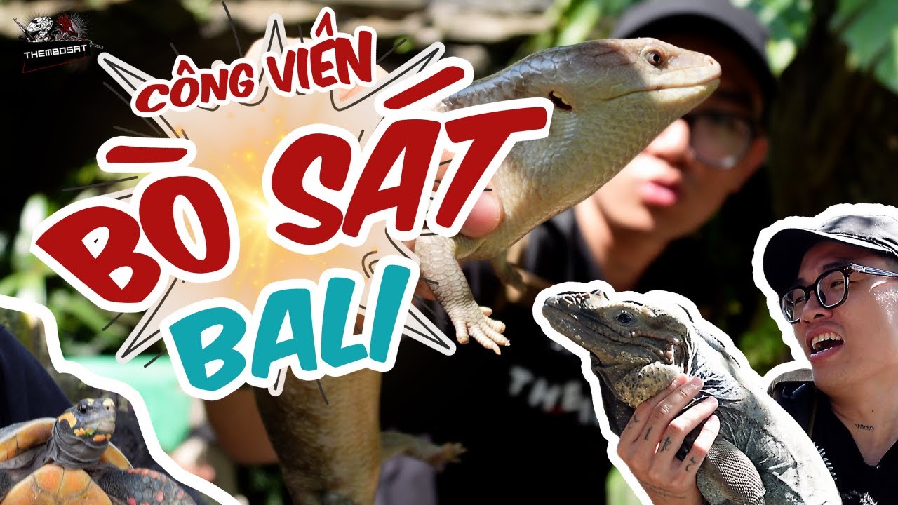 SỞ THÚ  TOÀN BÒ SÁT Ở BALI | CÔNG VIÊN NUÔI BÒ SÁT ĐỈNH NHẤT MÌNH TỪNG ĐI !