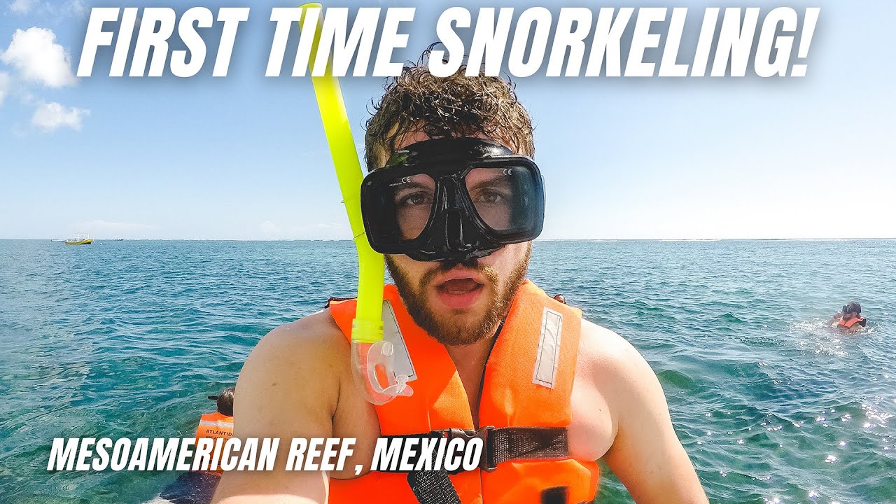 We went SNORKELING in the 2ND LARGEST REEF in the WORLD | Snorkeling Riviera Maya, Mexico