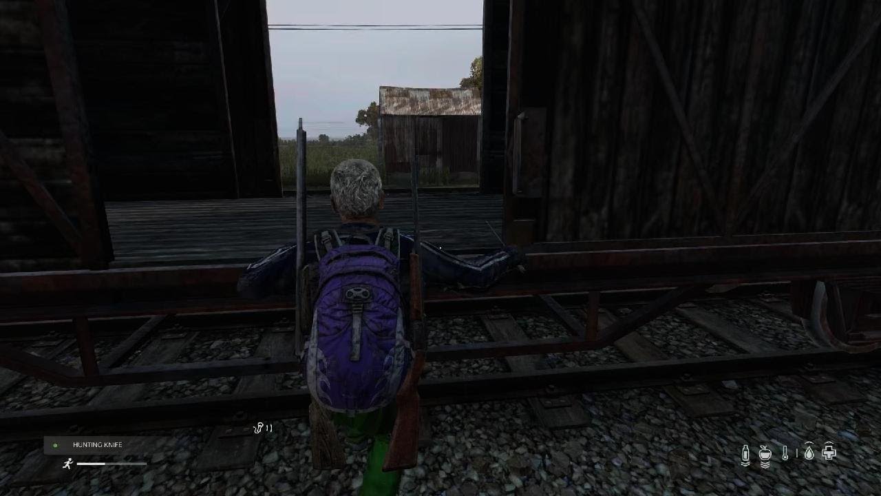 DayZ_20250315190617