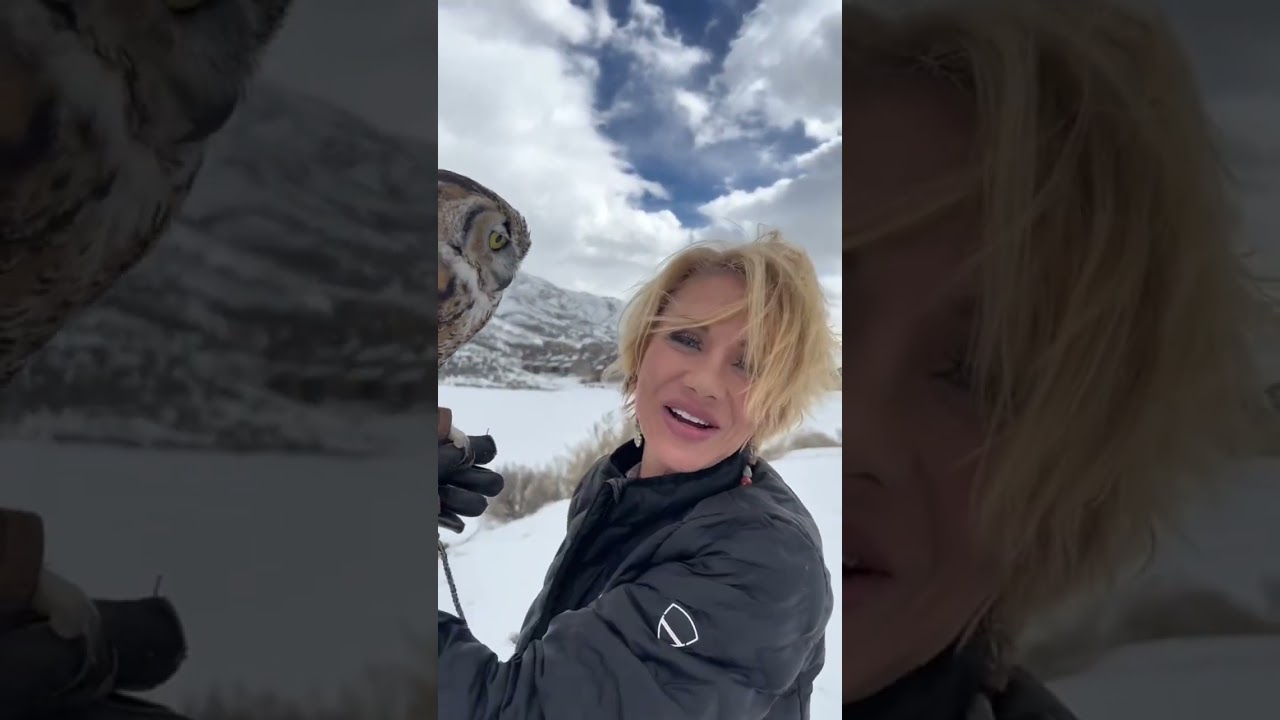 Great Horned Owl spots a herd of mountains goats