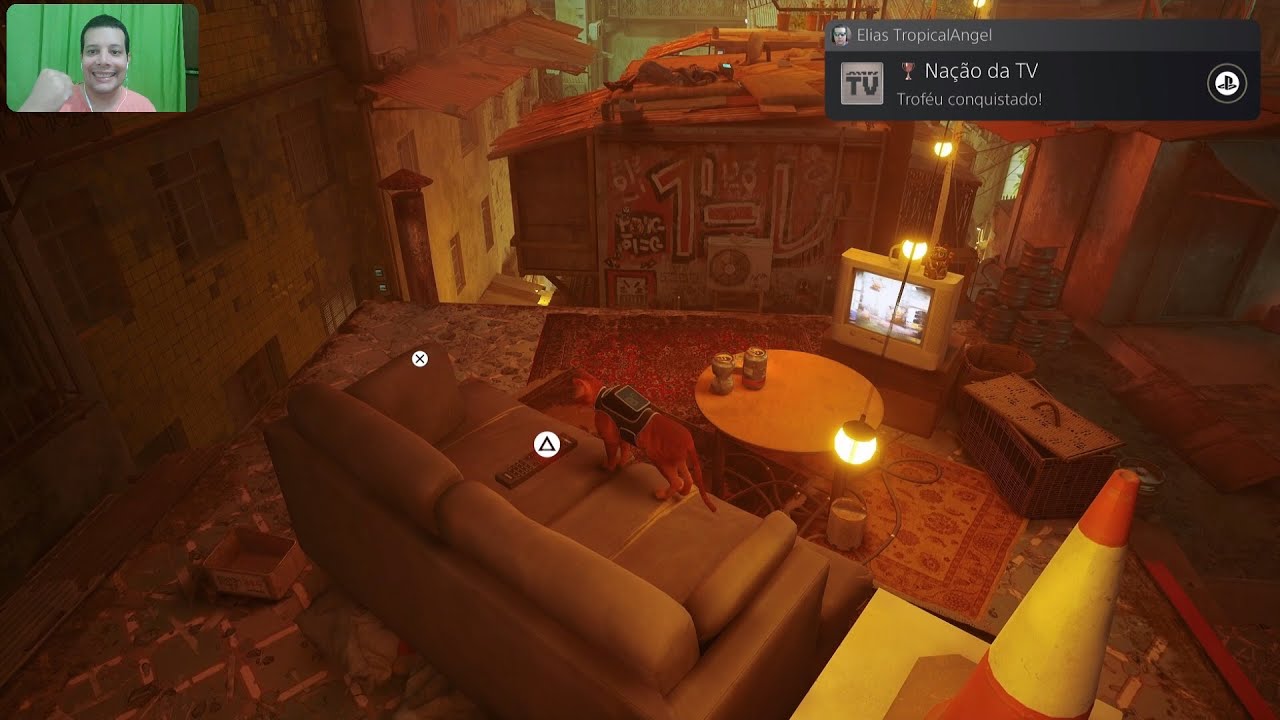 Stray - Troféu Nação da TV / Télé à chat Trophy