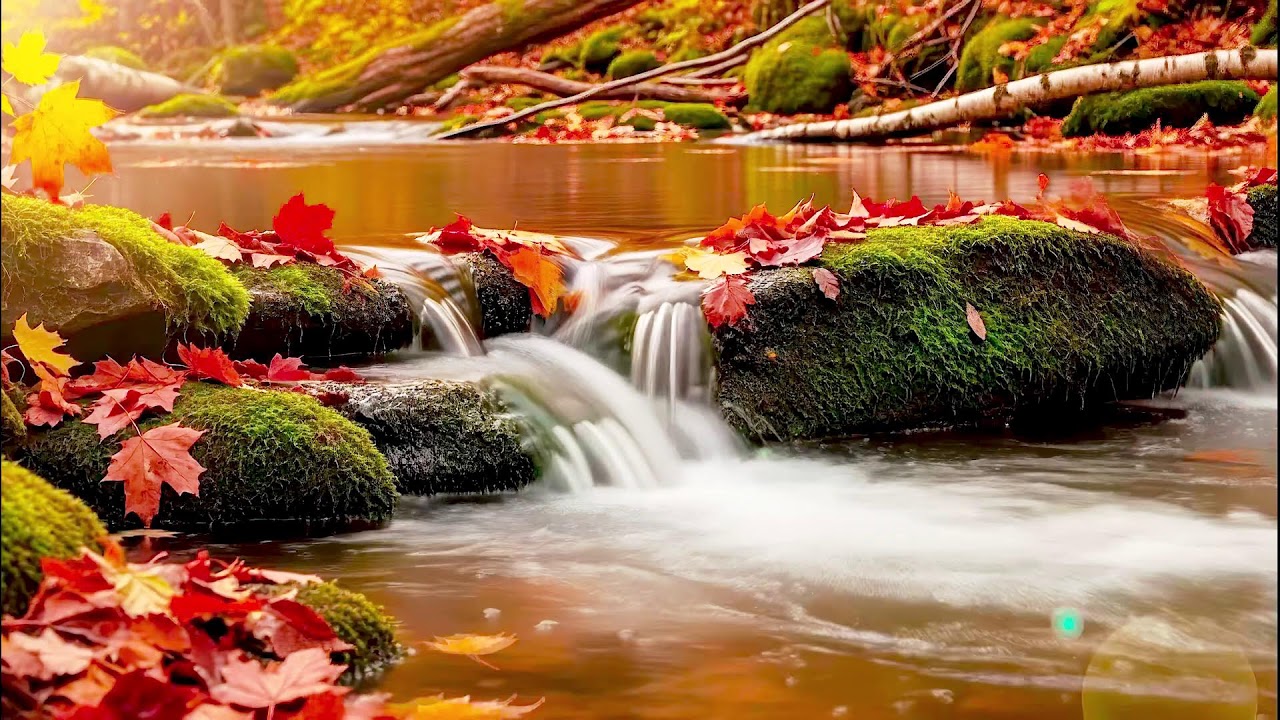 River Sound for Deep Sleep White Noise Flow with Forest Sound for Stress and Relaxation