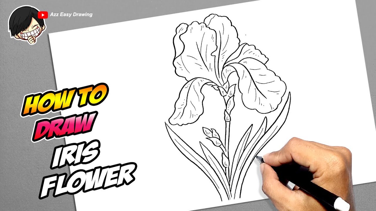 How to draw Iris Flower