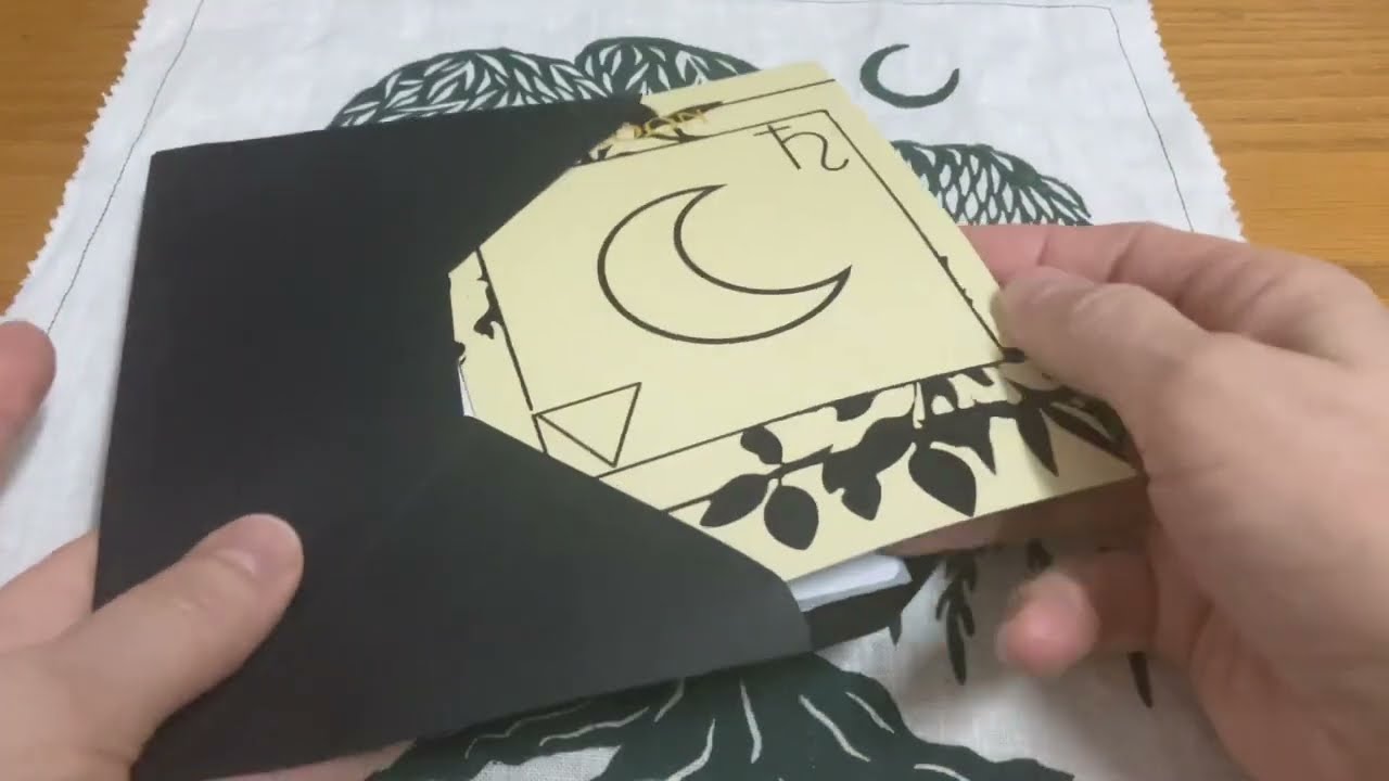 Счастливого Рождества: хо-хо-покупки (незваный гость в VR от @fairlighttarot :)