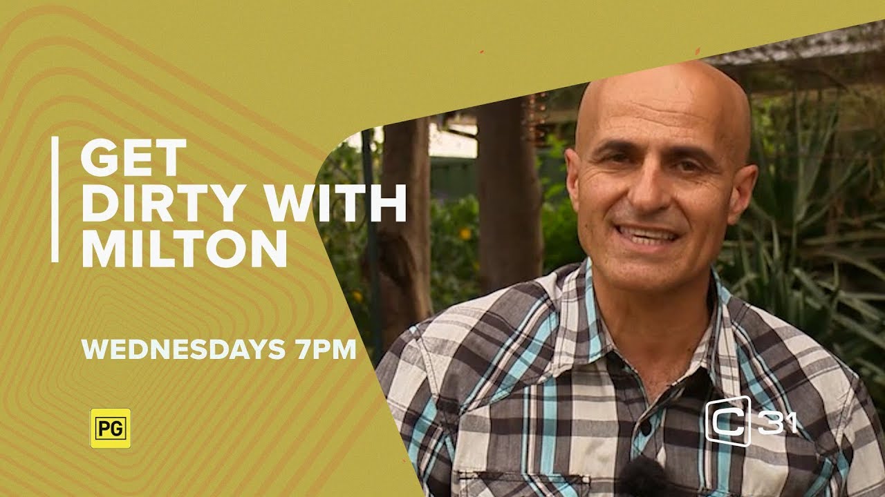 Get Dirty With Milton - July 2019 Promo - C31 Melbourne