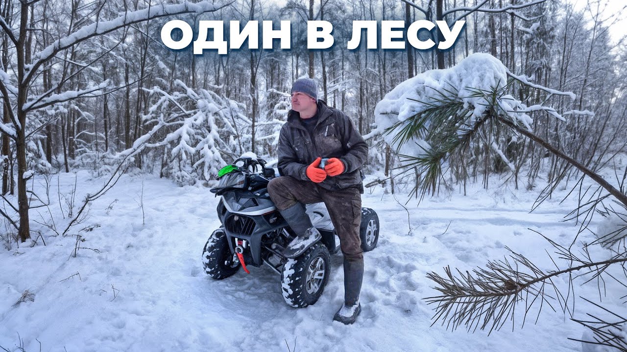 ОДИН в ЛЕСУ , НАСТУПИЛИ ХОЛОДА. ВОЛКИ БРОДЯТ в ПОИСКАХ ДОБЫЧИ. №374