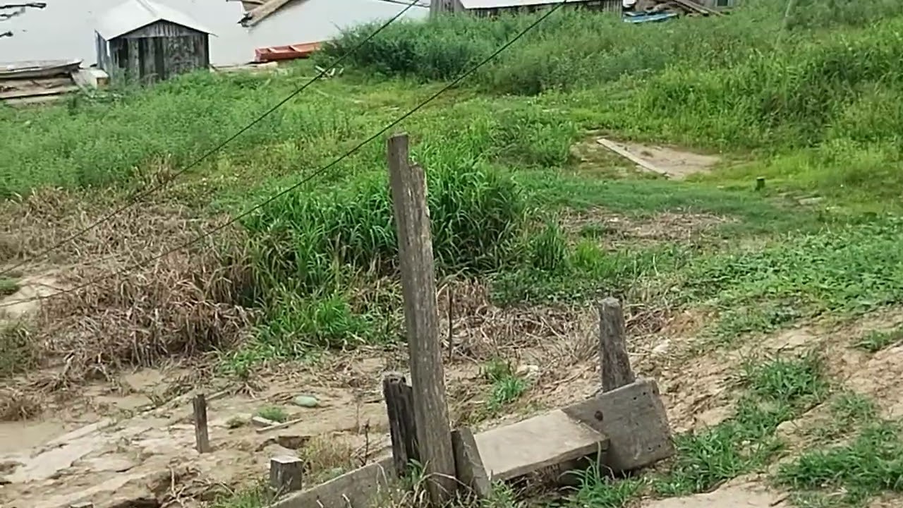 O Rio Purus come&ccedil;ou encher, fim da seca.