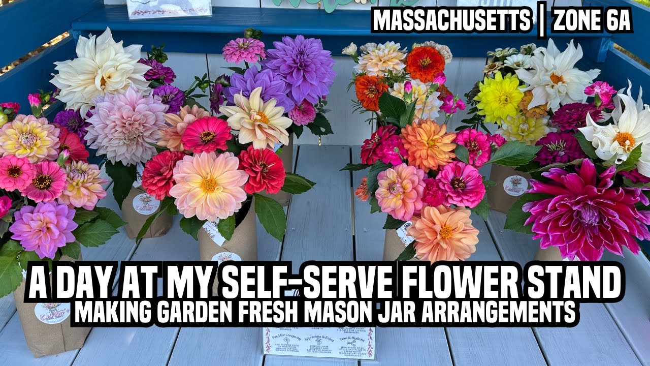A Day at My Self-Serve Flower Stand | Making Garden Fresh Mason Jar Arrangements