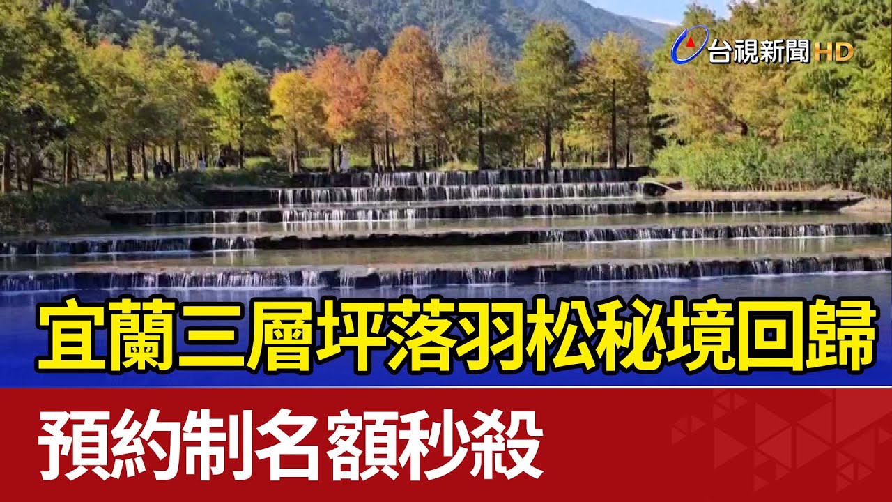 宜蘭三層坪落羽松秘境回歸 預約制名額秒殺