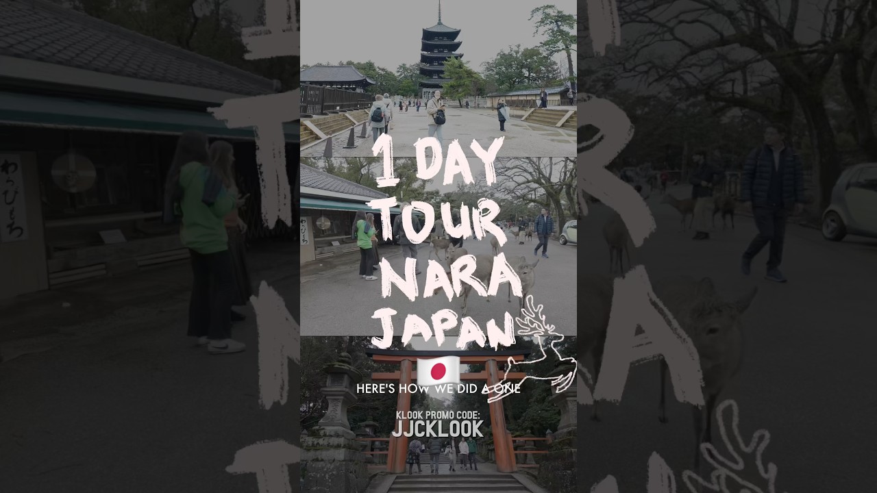 🇯🇵 Our 1-DAY Tour in NARA, JAPAN 🦌 coming from Osaka