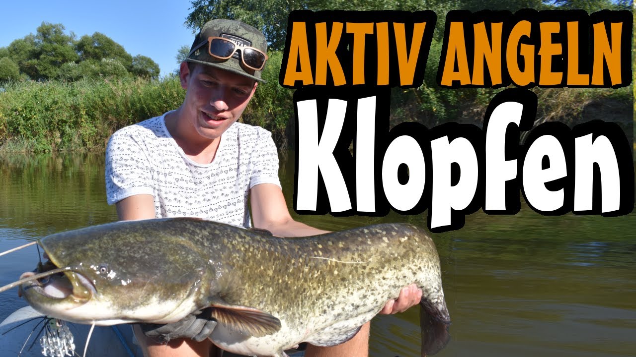 Crashkurs Wallerangeln 4: Welsangeln mit dem Wallerholz // Klopfen am kleinen Fluss