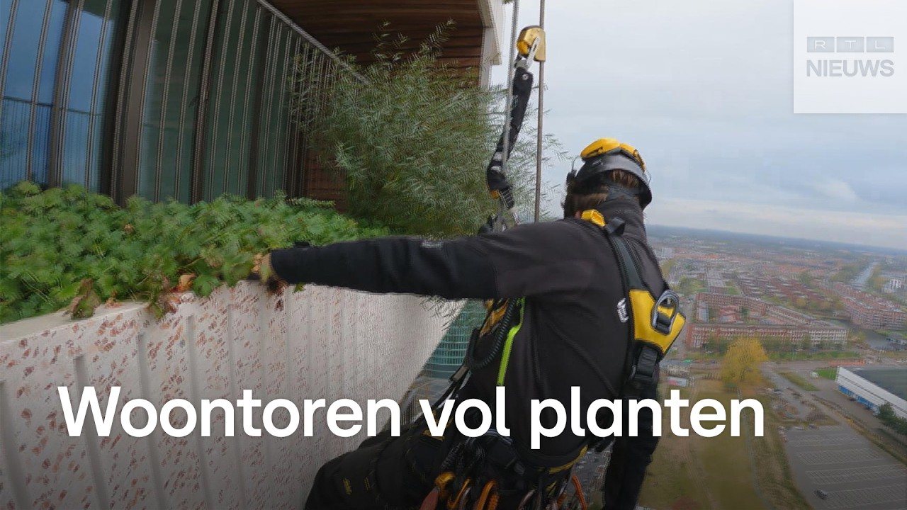 Onkruid wieden 100 meter boven de grond