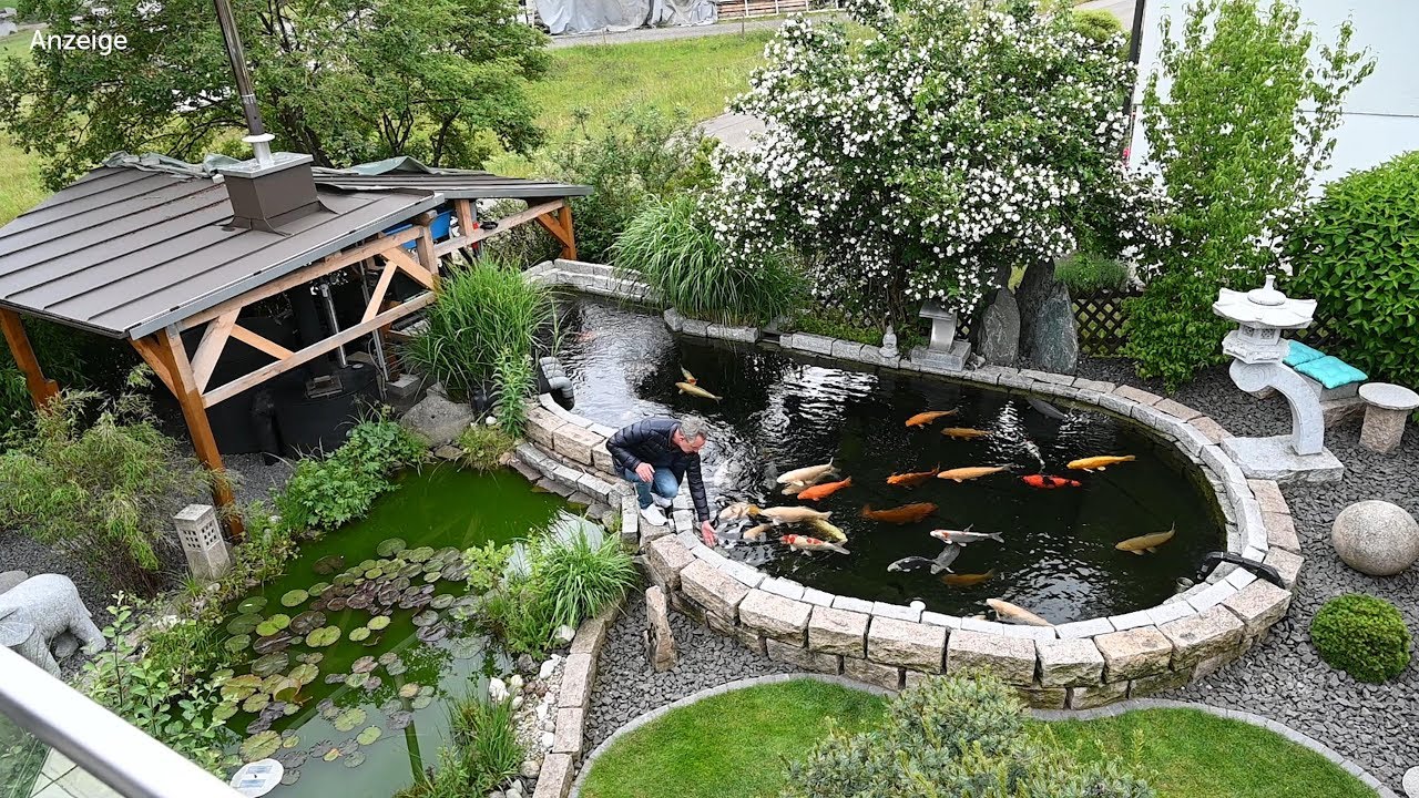 Modern Koi Blog #3890 - Christoph selbstgebauter 20.000 Liter Teich mit Traumwasser