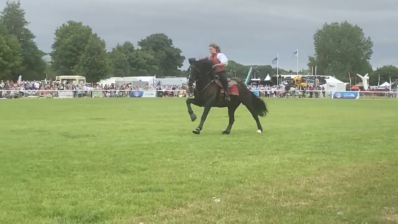@benjaminatkinson9047’s troupe Trick-Riding at Driffield Show, 21/7/22