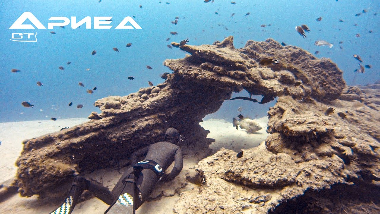 APNEA. CarbonTek: Apnea Titan. [THE BEST CARBON FINS]
