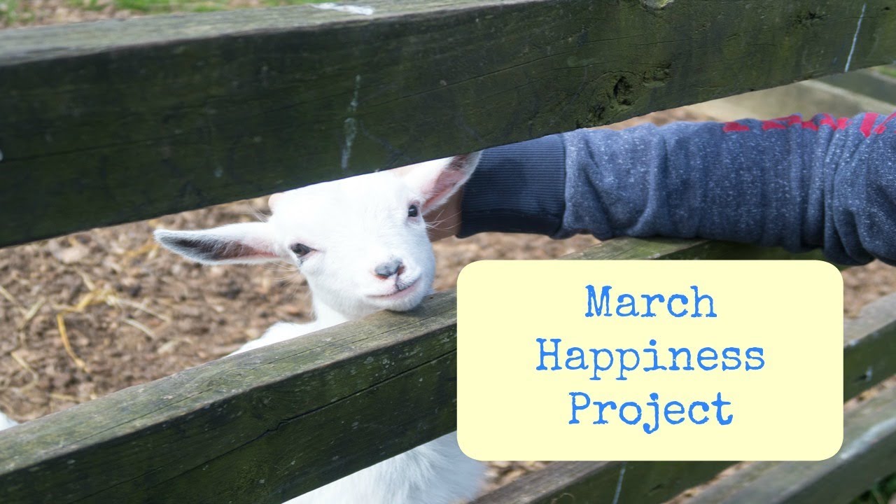 March Happiness Project