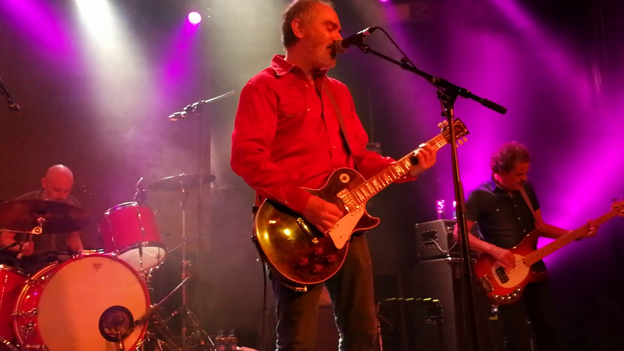 Surfin' Bichos - 