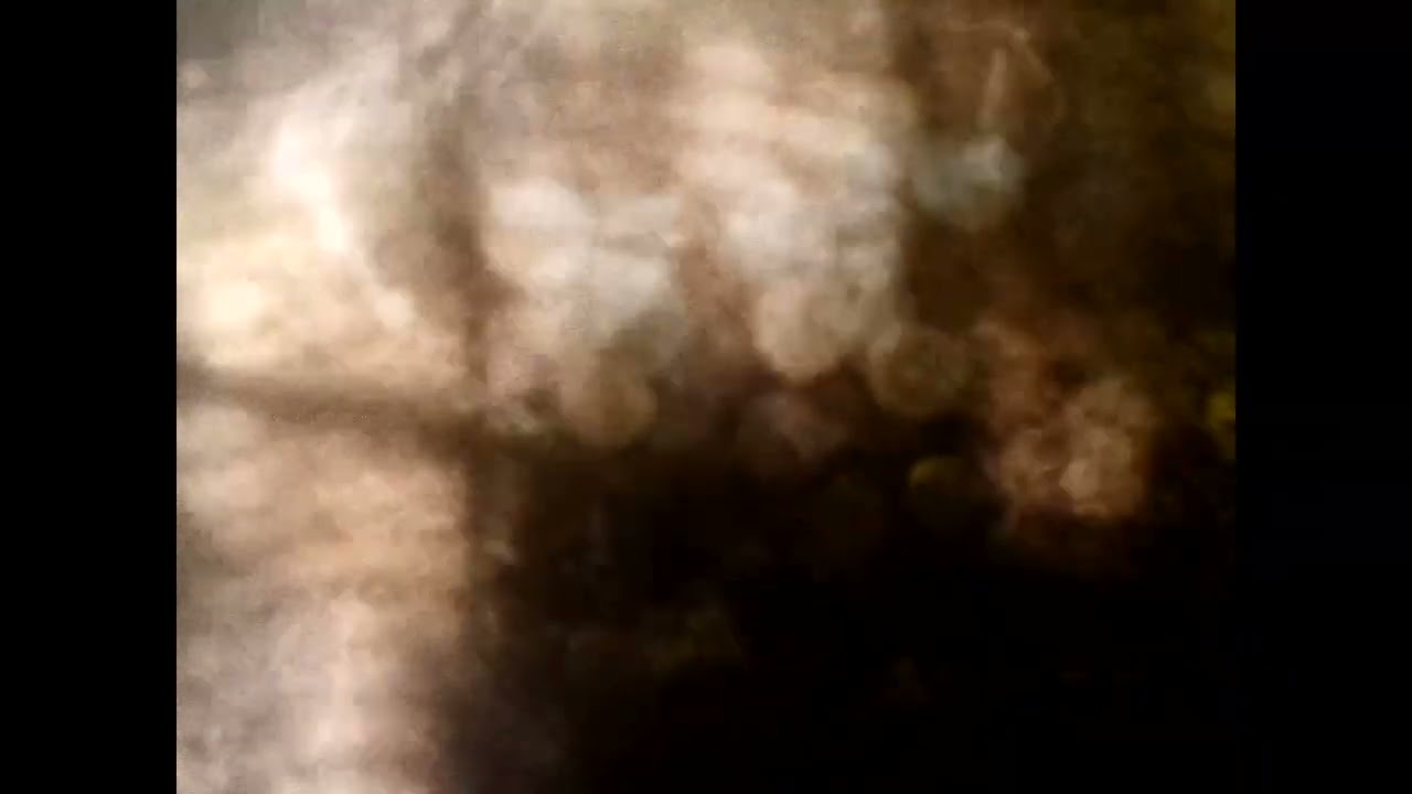 City Of Dawn - Mapping on Fragile Skin