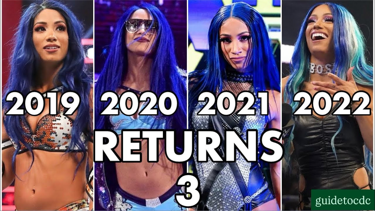 WWE Women With The Most Returns 3