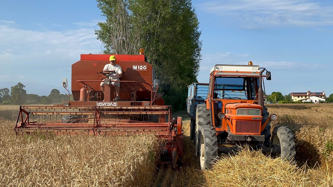 TREBBIATURA FRUMENTO - GRANO 2023 con LAVERDA M120