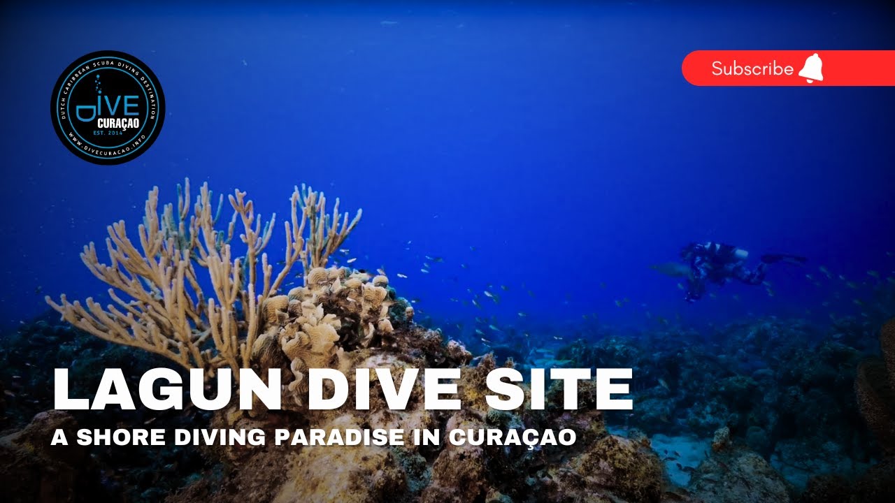 Scuba Diving at Playa Lagun Dive Site in Cura&ccedil;ao: Shore Diving Paradise with Turtles & Coral Reefs