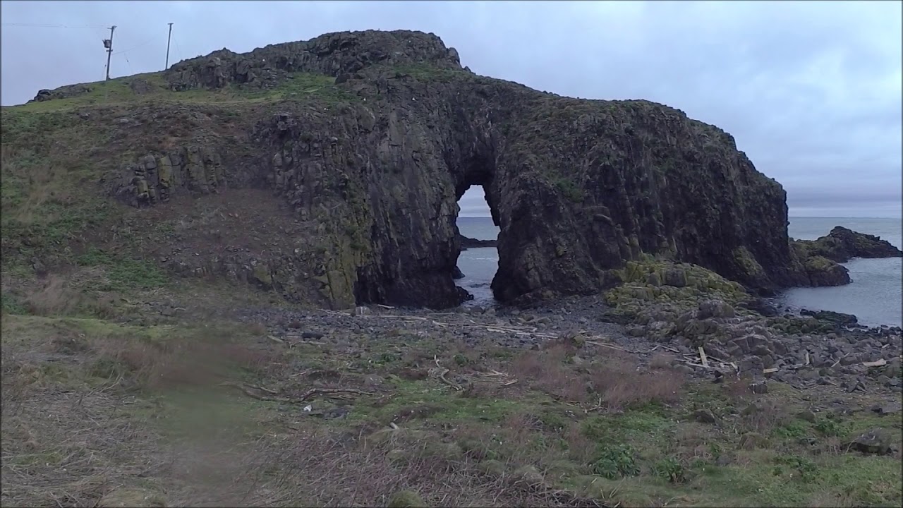 Bass Rock, Craigleith & Fidra 03Feb19
