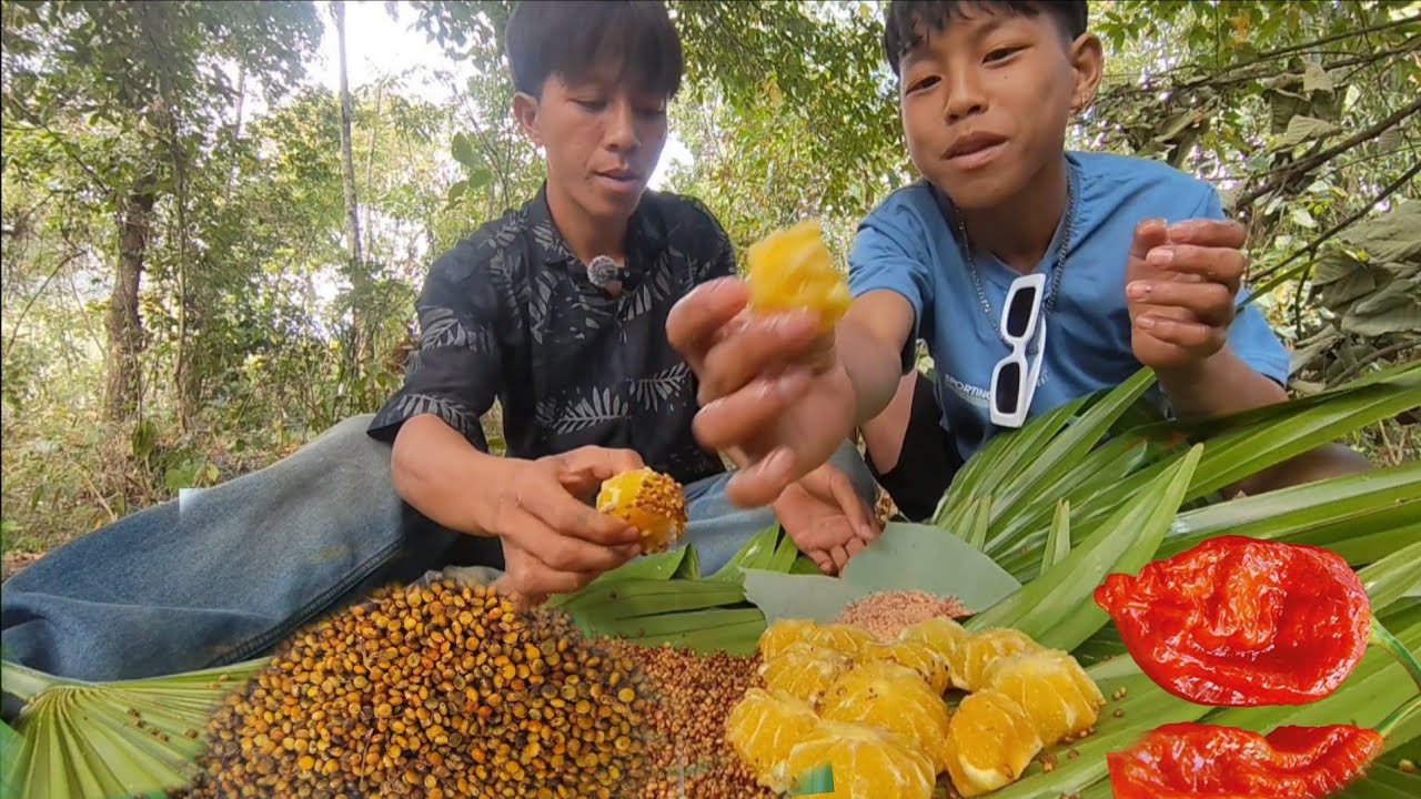 Eating wild lemon and sumac | eating sour fruit | found only in North East India 