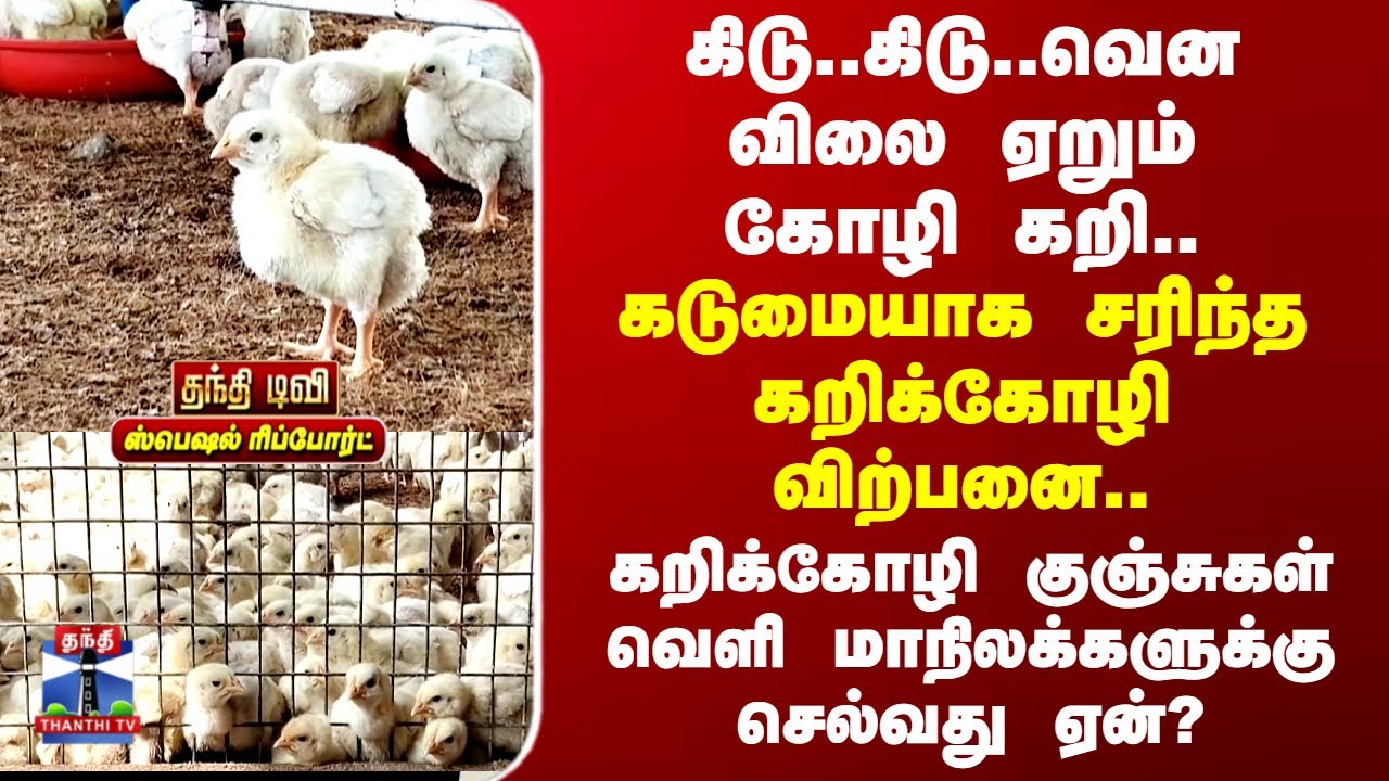 Chicken Prices Surge | கிடு..கிடு..வென விலை ஏறும்கோழி கறி.... கடுமையாக சரிந்த கறிக்கோழி விற்பனை..