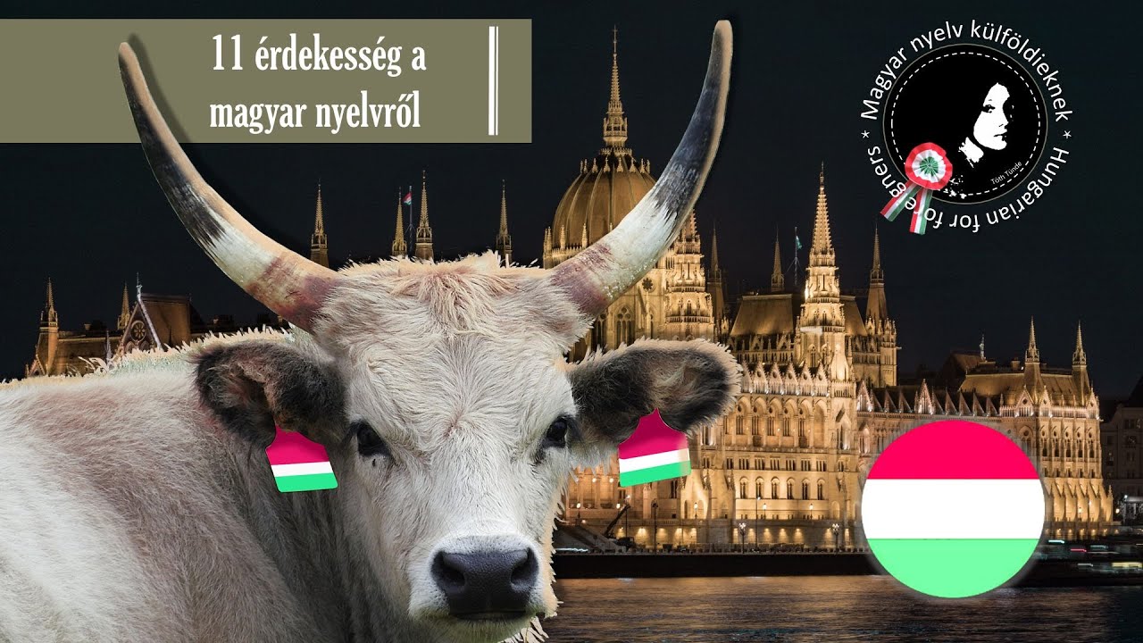 11 érdekesség a magyar nyelvről │ 11 fun facts about Hungarian │ Hungarian for foreigners