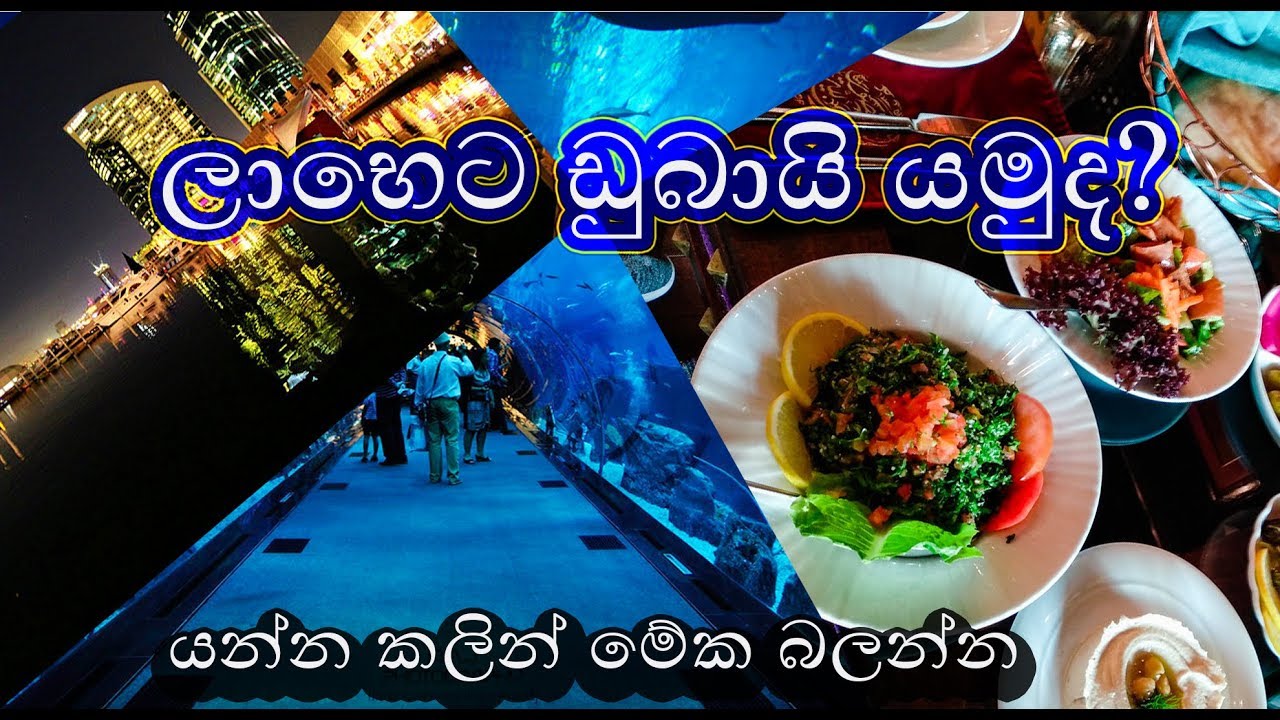 Everything You Need To Know Before Budget Travel To Dubai Sinhala | ලාභෙට ඩුබායි යමුද?