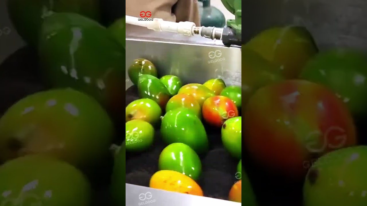 Mango Washing Grading And Waxing Processing Line