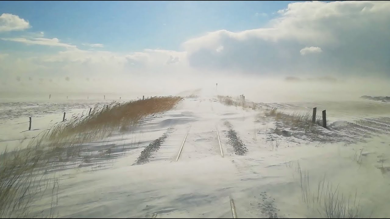 Schneegest&ouml;ber auf Eiderstedt / 17.03.2018