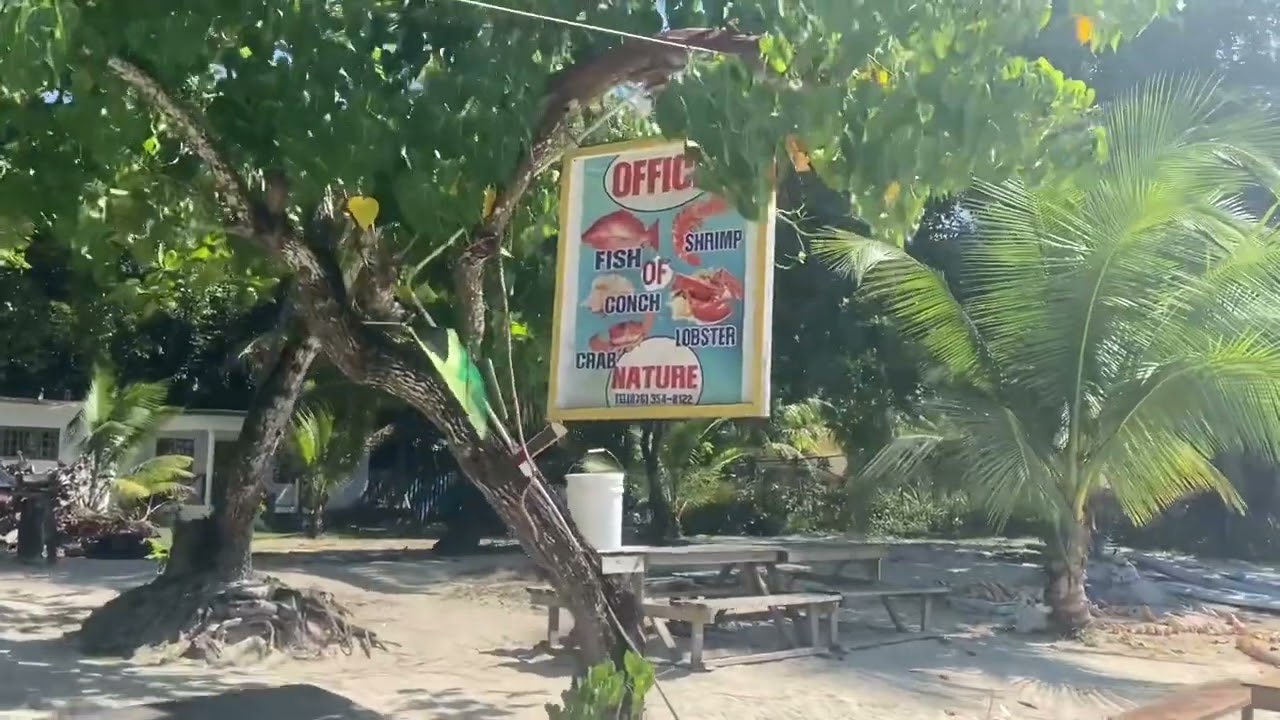 The Office of Nature on Bloody Bay in Negril, fresh seafood and live music #ร้านอาหารแนะนําที่เจเมกา