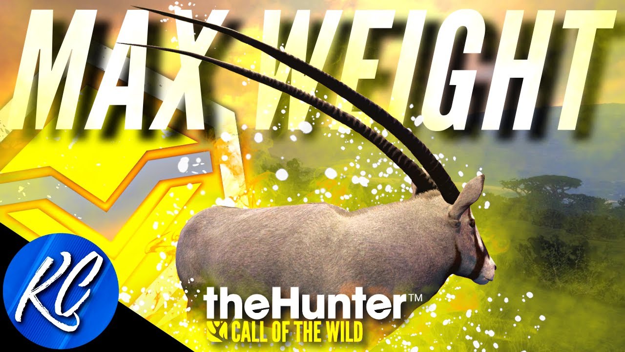 INSANELY RARE! My First MALE Diamond Gemsbok & it's MAX WEIGHT! | Call of the Wild