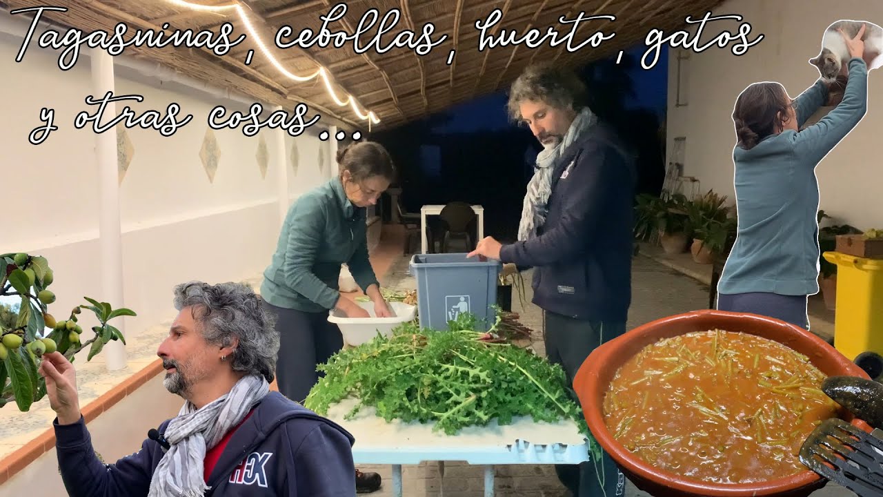 Tagarninas, huerto, cebollas, gatos y otras cosas. Vivir en el campo. Ep 36.