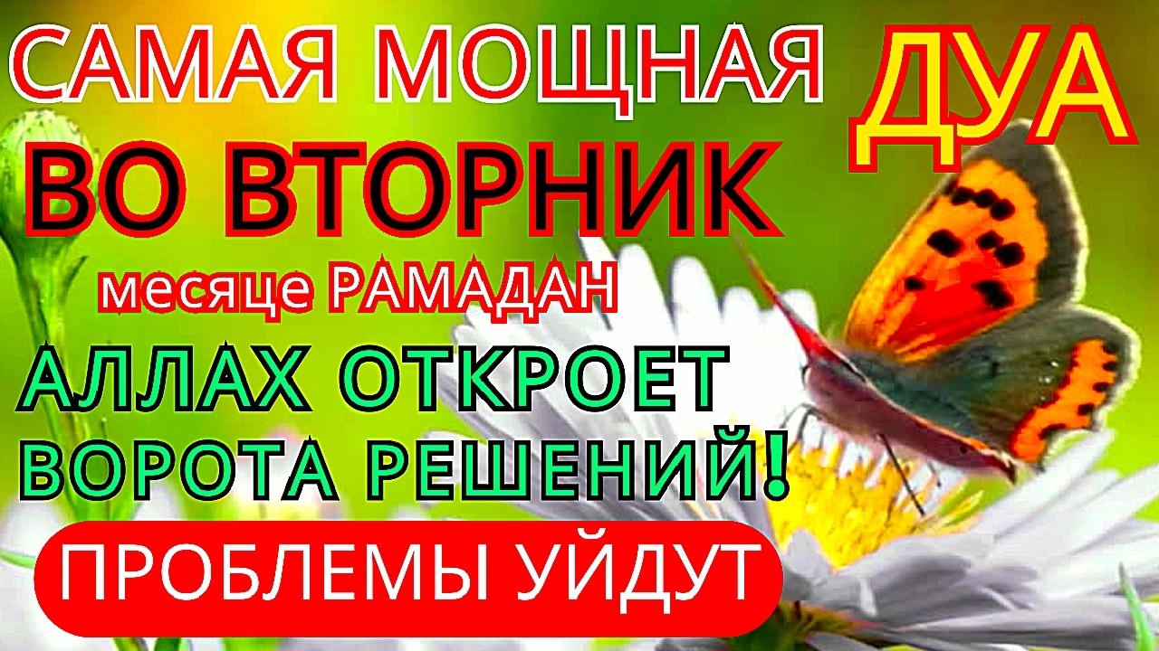 Дуа В ПОНЕДЕЛЬНИК в месяце РАМАДАН ДАЕТ УВАЖЕНИЕ, БОГАТСТВО,РИЗК,ДЕНЬГИ,УСПЕХ И СЧАСТЬЕ! #дуа