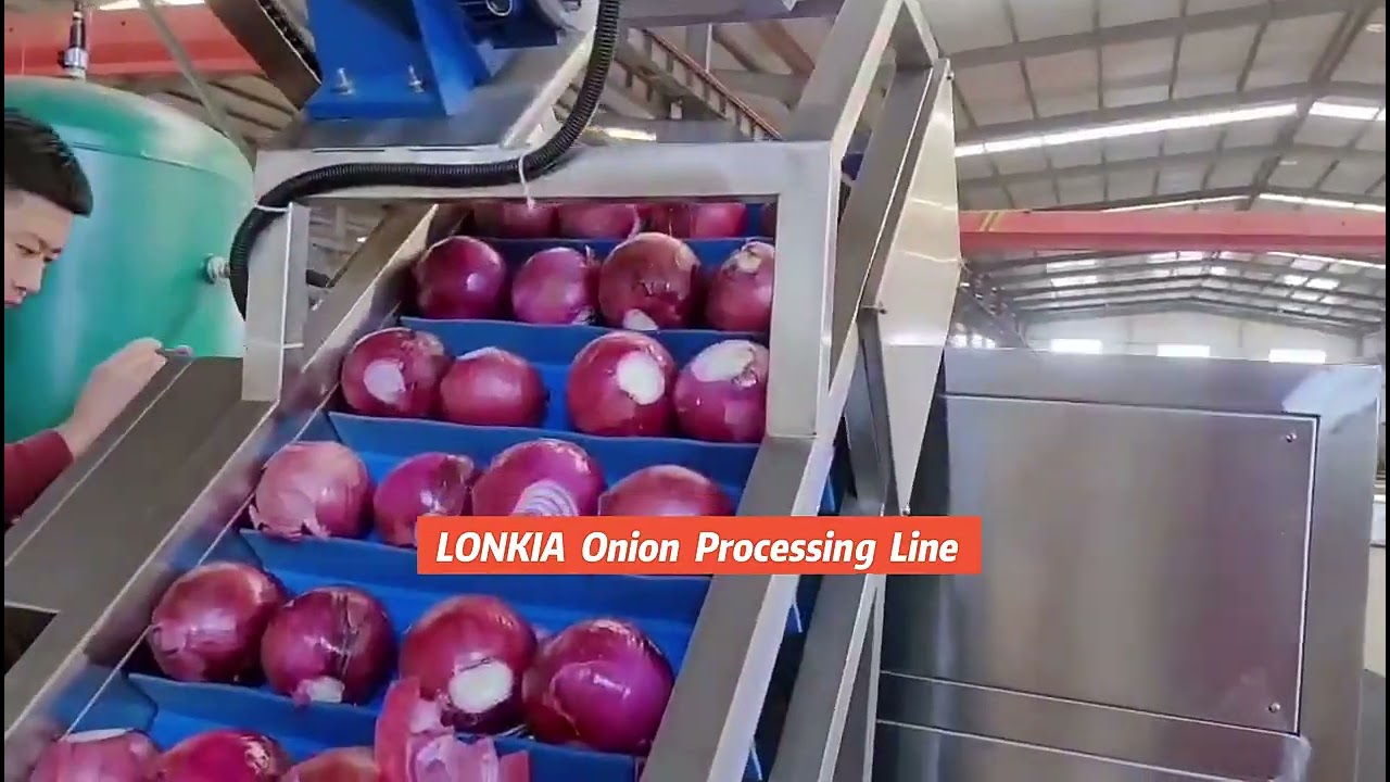 🧅LONKIA — Onion Top & Tail Cutting + Peeling Line