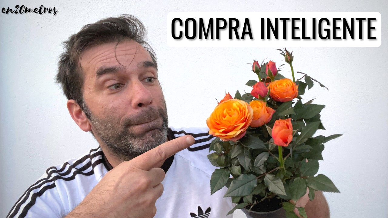 CONSEJOS DE EXPERTOS PARA COMPRAR PLANTAS y hacerlas prosperar en tu hogar || en20metros