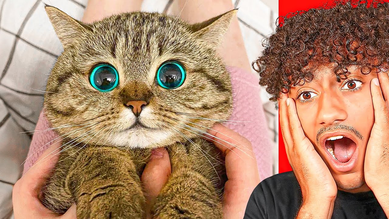Try Not To Say *AWW* Challenge! (IMPOSSIBLE)
