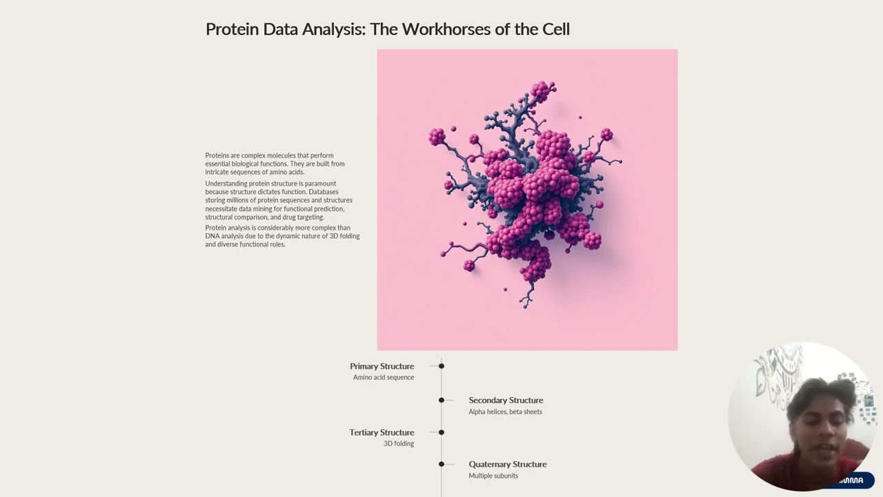data mining activity