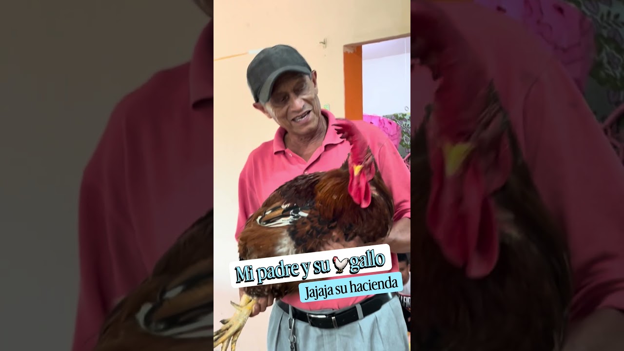 Miren a mi padre y su súper gallo #