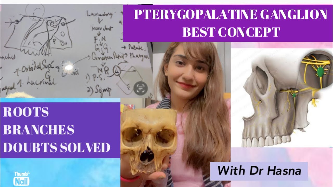 Pterygopalatine Ganglion BEST CONCEPT | With an Example | DOUBTS CLEARED Anatomy