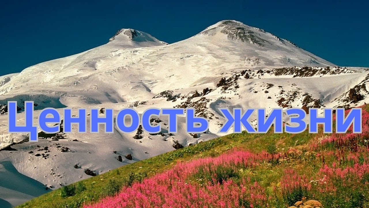 Что действительно ценно в жизни