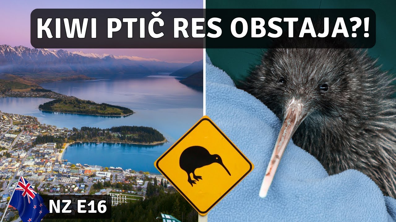QUEENSTOWN - PTIČ KIVI, ADRENALIN in Vino! | NZ Vlog 16