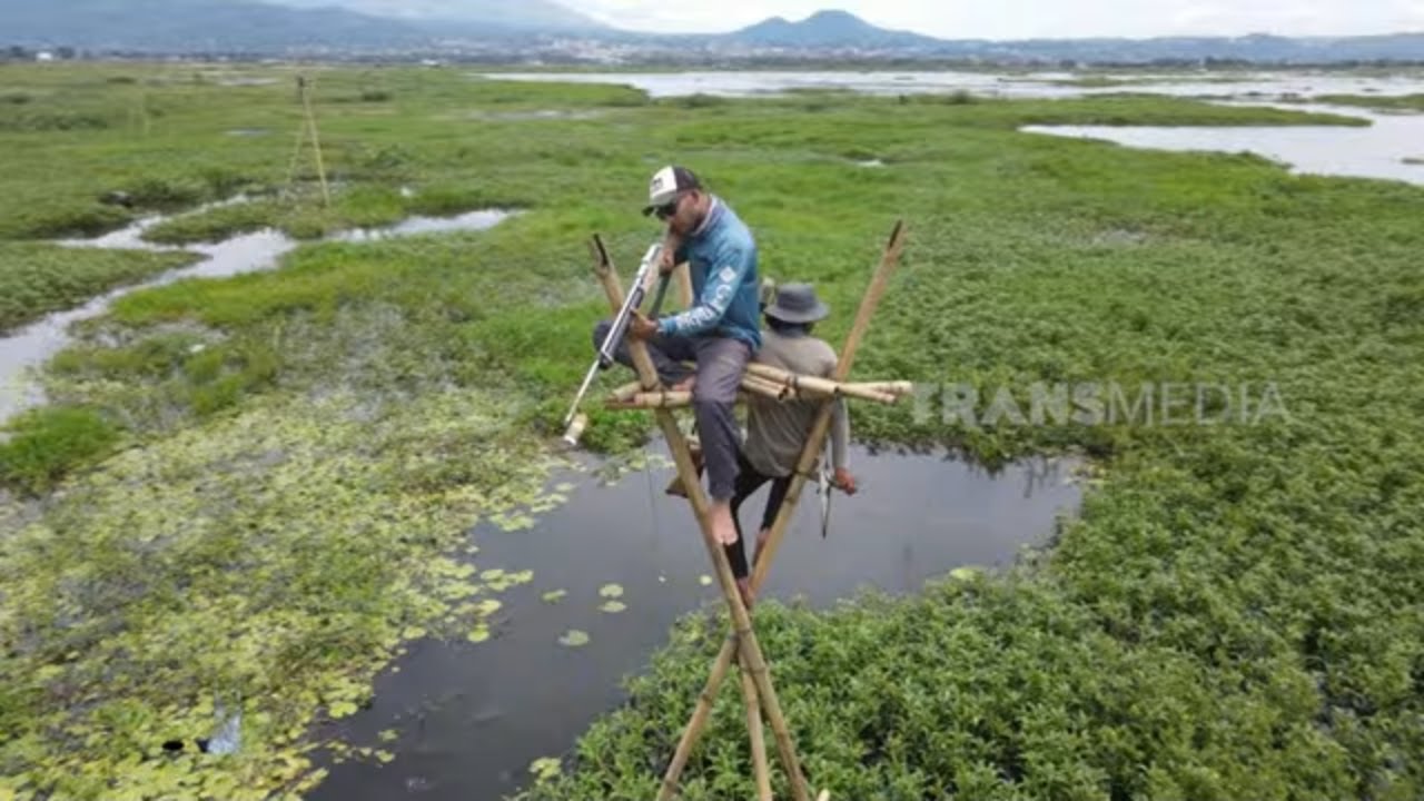 Berburu Ikan Di Rawa Pening Dengan Teknik Paser | MANCING MANIA STRIKE BACK (19/04/25) Part 1