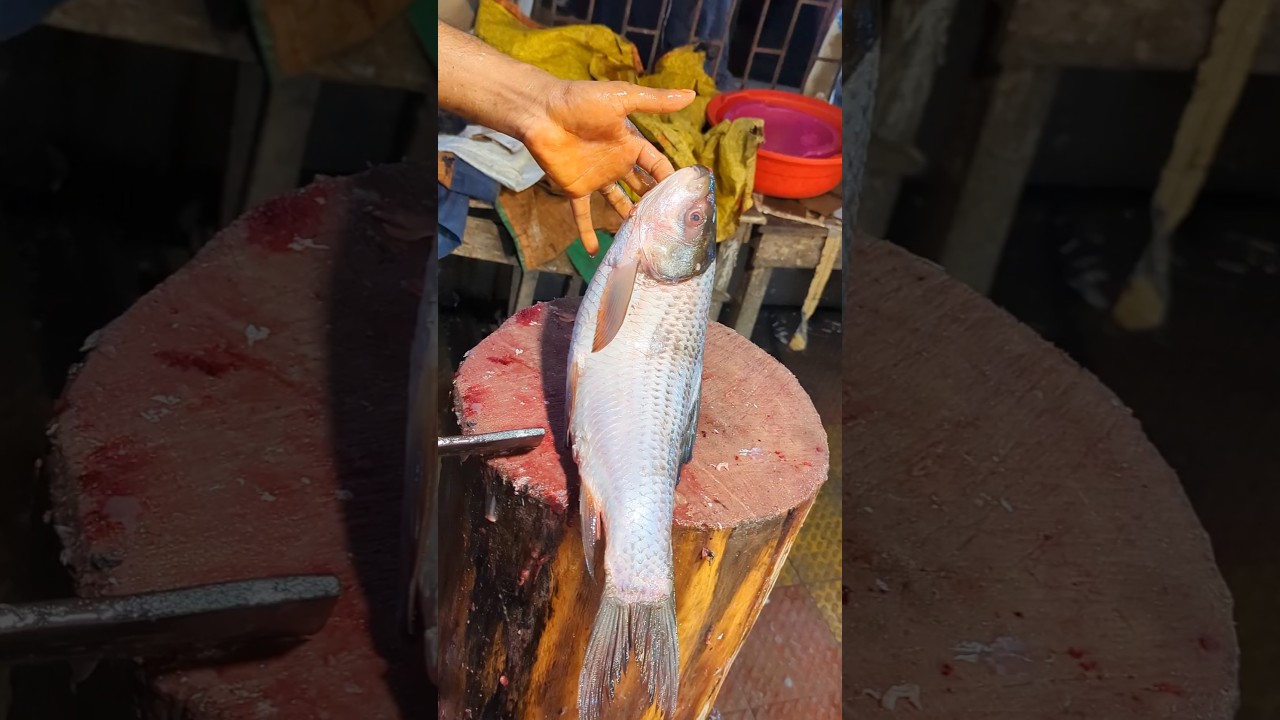 Amazing Big Mrigal Fish Cutting Skills Live In BD Fish#500Market