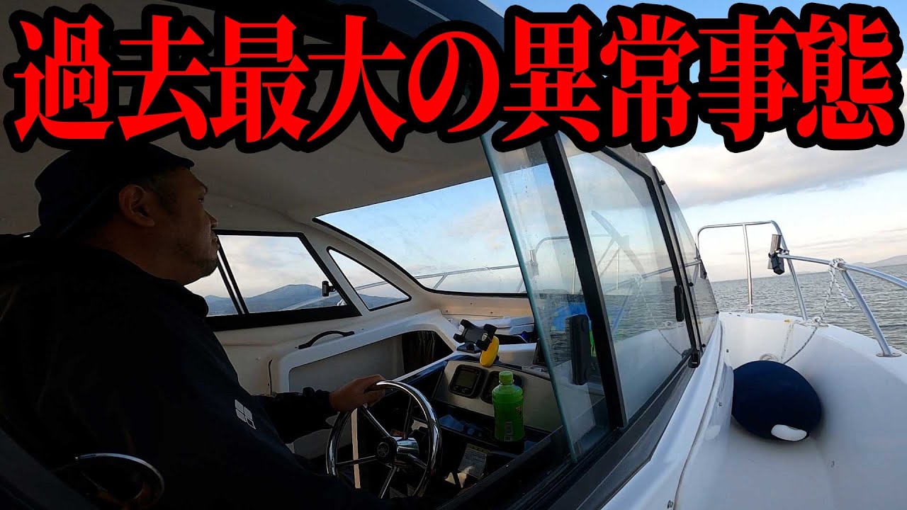 全国で騒動になっている『ブリ大量発生』を現地調査してきた！【過去平均150％】