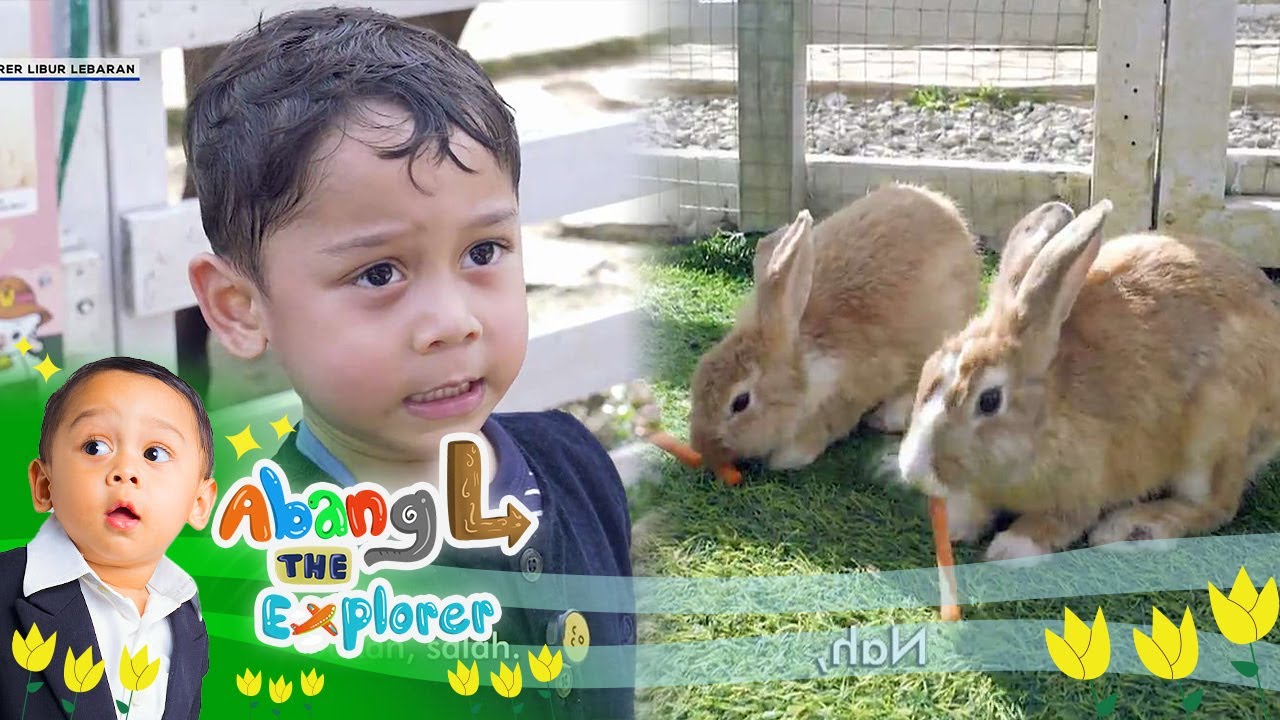 Nyam Nyam!! Keseruan Abang L Kasih Makan Kelinci-kelinci Lucu | Abang L The Explorer