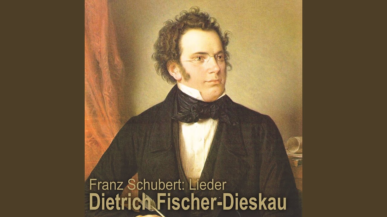 Die winterreise, D. 911: no. 22, Mut