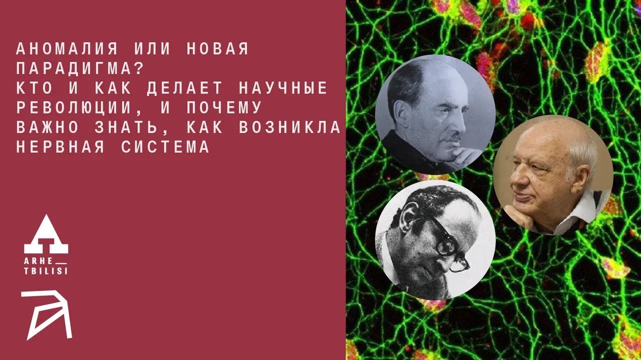 Михаил Никитин и Симха Борман: Аномалия или новая парадигма? Кто и как делает научные революции